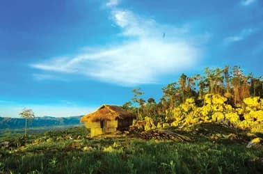 Candoni - Professional Web and SEO Services by RuralNative