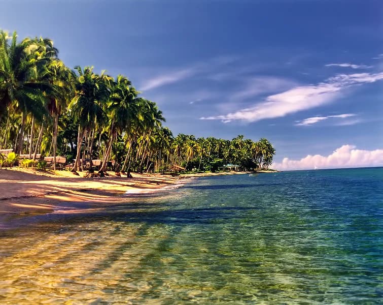 Hinobaan - Professional Web and SEO Services by RuralNative