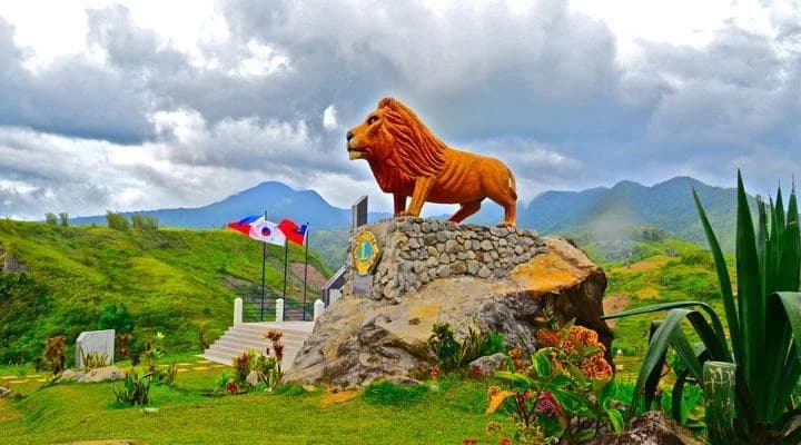 Salvador Benedicto - Professional Web and SEO Services by RuralNative