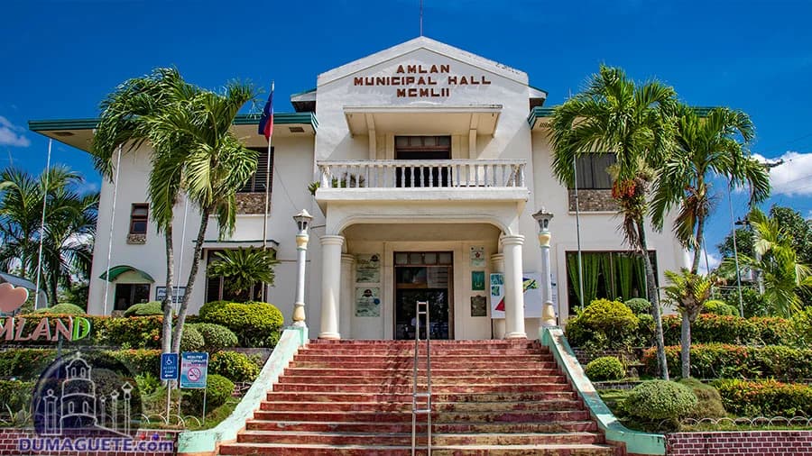 Amlan - Professional Web and SEO Services by RuralNative