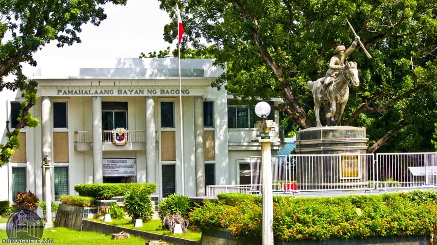 Bacong - Professional Web and SEO Services by RuralNative