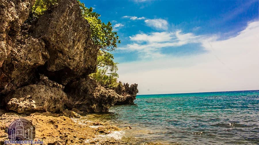 Basay - Professional Web and SEO Services by RuralNative