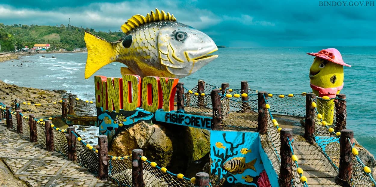 Bindoy - Professional Web and SEO Services by RuralNative