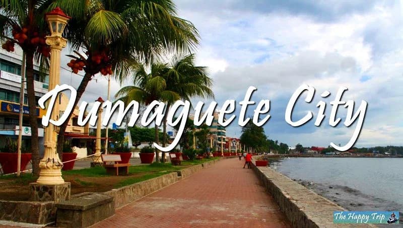 Dumaguete - Professional Web and SEO Services by RuralNative