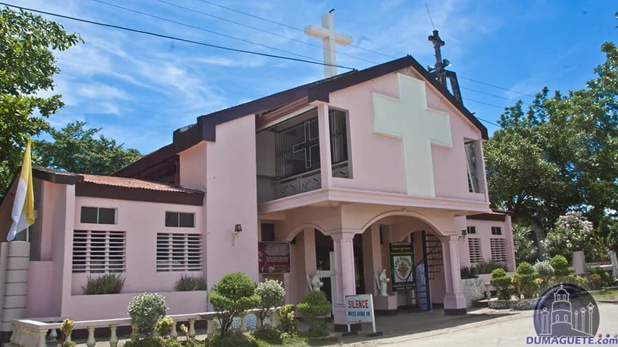 La Libertad - Professional Web and SEO Services by RuralNative