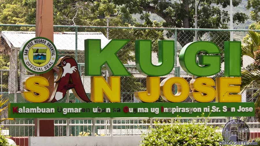 San Jose - Professional Web and SEO Services by RuralNative