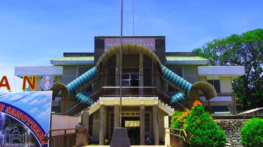 Tayasan - Professional Web and SEO Services by RuralNative