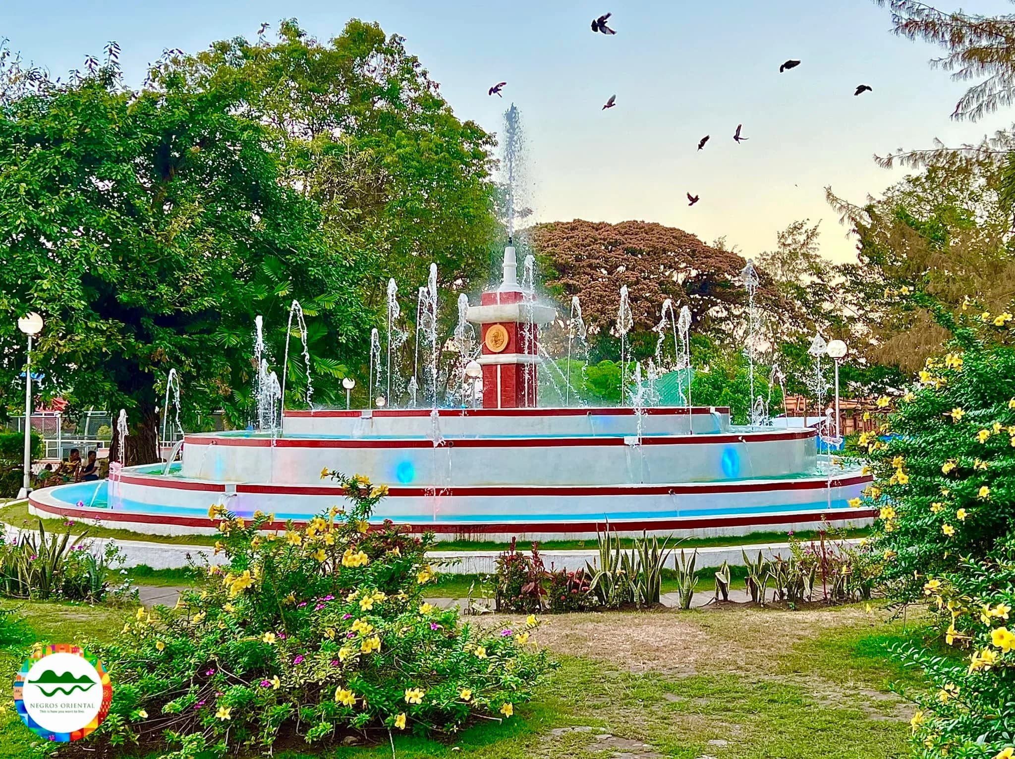 Valencia - Professional Web and SEO Services by RuralNative