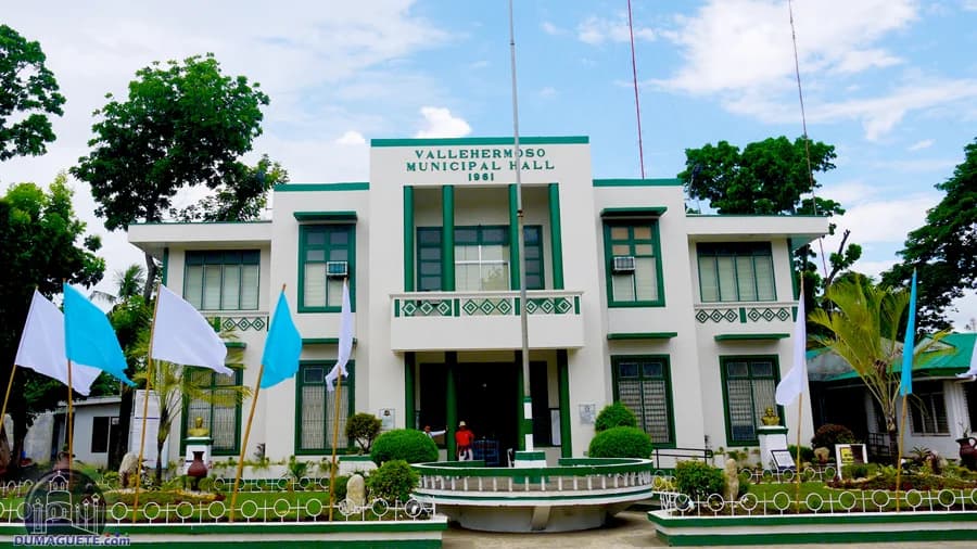 Vallehermoso - Professional Web and SEO Services by RuralNative